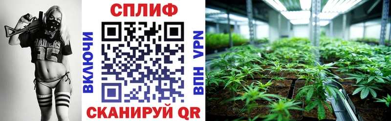 Купить Каннабис  Cocaine  Alpha-PVP  Меф мяу мяу  Гашиш  Валуйки